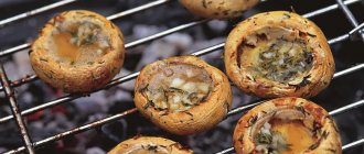 Dishes with frozen mushrooms - 24 step-by-step recipes - 1000.menu