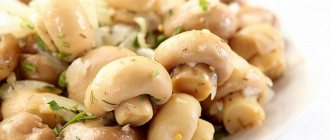 Quick recipe for marinated champignons