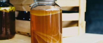 Kombucha: how to grow, care and consumption