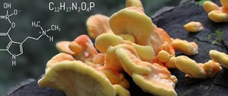 Effects of psilocybin mushrooms - Verimed