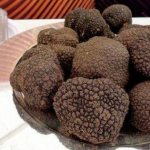 Truffle mushroom - what is it, recipe for soup, pasta, salad, omelet, risotto with truffle