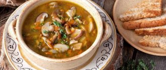 Грибной суп: 14 самых вкусных рецептов приготовления