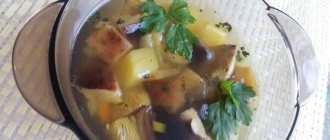mushroom soup with chicken broth