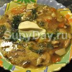 Грибовница - суп из замороженных белых грибов
