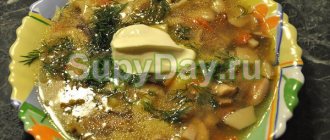 Грибовница - суп из замороженных белых грибов