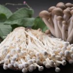 Enoki mushrooms. How to cook, recipes with photos 