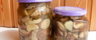 pickled mushrooms for the winter - 7 best recipes
