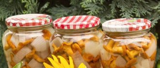 mushrooms for the winter in jars