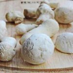 Как готовить гриб дождевик - интересные идеи для приготовления вкусных блюд
