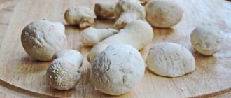 Как готовить гриб дождевик - интересные идеи для приготовления вкусных блюд
