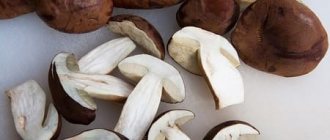 How and how long to cook boletus mushrooms until done