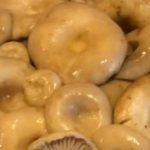 How and how much to cook milk mushrooms
