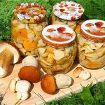 как мариновать белые грибы - простые и вкусные рецепты