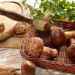 How to process and prepare boletus at home and according to good recipes?