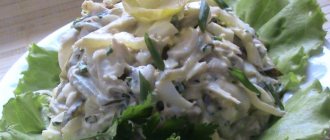 How to prepare a salad with oyster mushrooms quickly and easily? Delicious recipes 