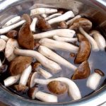How to cook boletus mushrooms for freezing. How long to cook fresh boletus mushrooms? 