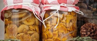How to prepare mushrooms for the winter in jars