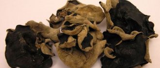 Китайские грибы муэр