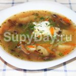 Classic recipe for mushroom soup
