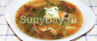 Classic recipe for mushroom soup