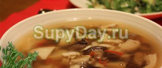 Chicken soup with champignons