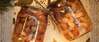 pickled boletus for the winter - the most delicious recipes