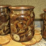 Pickled honey mushrooms for the winter - 10 recipes for cooking in jars with step-by-step photos