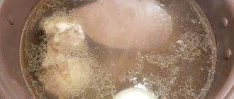 meat broth for hodgepodge