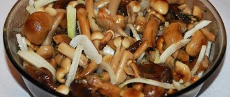 Is it necessary to boil honey mushrooms before frying?