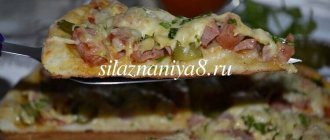 Pizza with pickles, sausage and cheese