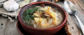 Pamper your home with delicious cabbage soup made from fresh cabbage and mushrooms. Recipes for aromatic cabbage soup made from fresh cabbage with mushrooms 