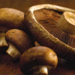 Why are mushrooms bitter?
