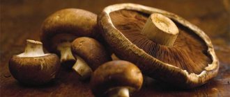 Why are mushrooms bitter?