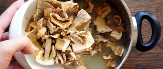 Dried mushroom sauce. Recipes with photos 
