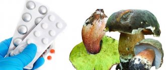 Полусъедобные грибы широко используют в медицине для лечения различных заболеваний