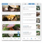 Mushroom Identify app on Android