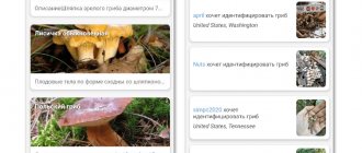Приложение Mushroom Identify на Android