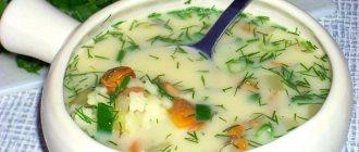 Recipe for mushroom soup from fresh milk mushrooms