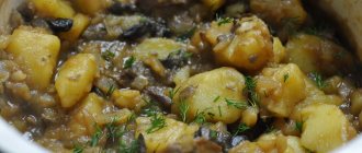 Recipes for dishes made from mushrooms, potatoes and tomatoes