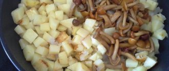 Recipes for potato dishes with pickled mushrooms