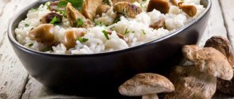 Risotto with mushrooms - recipes