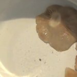 Рыжики под гнетом: рецепты домашней засолки грибов