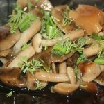 Salad with pickled honey mushrooms 11 best recipes
