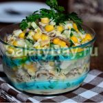 Chicken and fried champignon salad