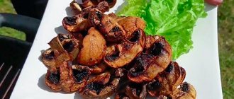 Champignons on an electric grill: how to cook quickly and tasty?