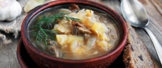 Sauerkraut cabbage soup with mushrooms: traditional and original. Secrets of sauerkraut cabbage soup with mushrooms, buckwheat, beans, pearl barley 