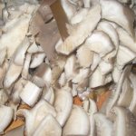 How long to cook oyster mushrooms