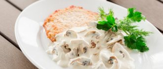 Creamy mushroom sauce with mushrooms for any dish