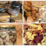 Salted mushrooms in jars: incomparable recipes with photos