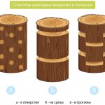Methods for placing mycelium in logs